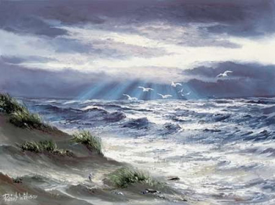 Unmeasured depths Canvas Art - Reint Withaar (18 x 24)