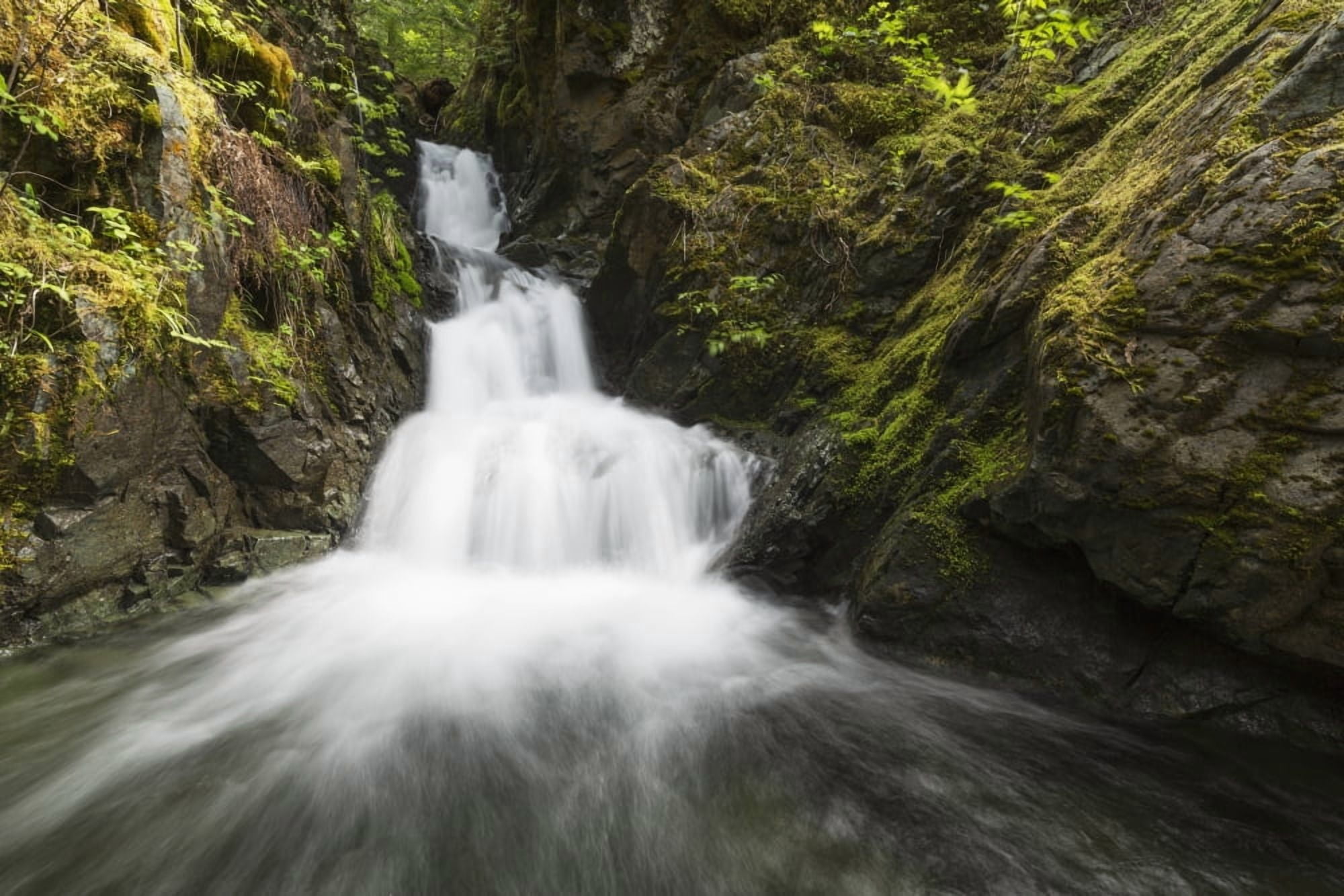 Unnamed stream and waterfall Strathcona Provincial Park British Columbia Canada Canvas Art - Robert Postma Design Pics (19 x 12)