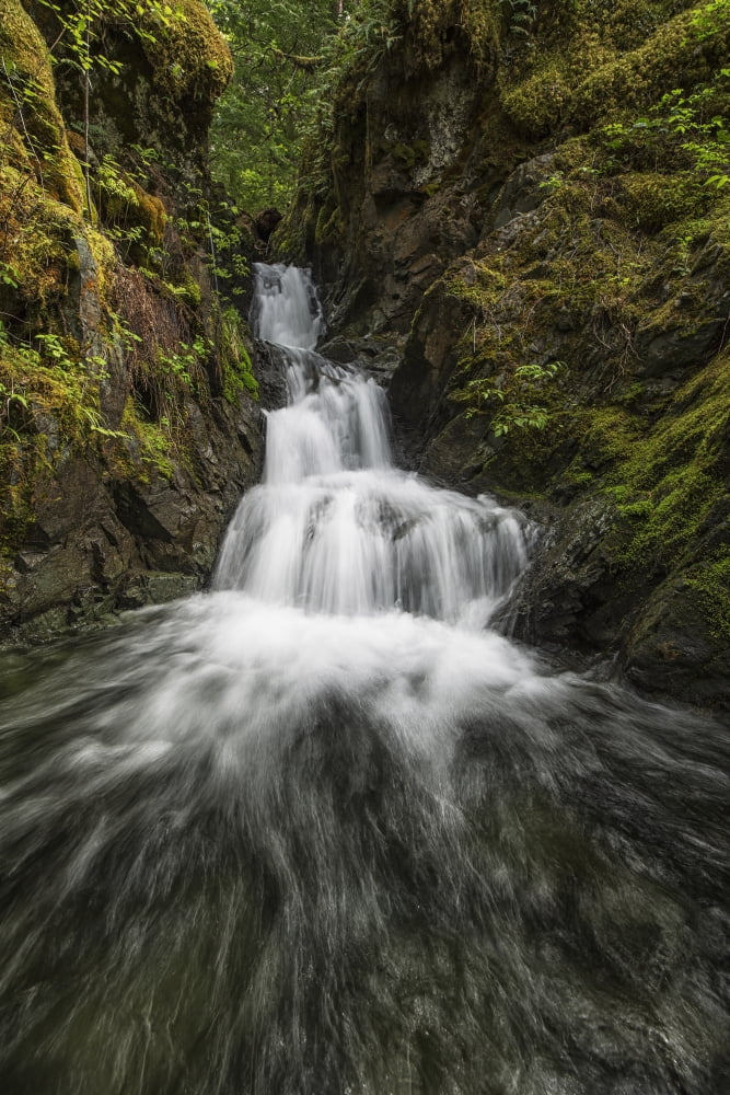 Unnamed stream and waterfall Strathcona Provincial Park British Columbia Canada Canvas Art - Robert Postma Design Pics (24 x 38)
