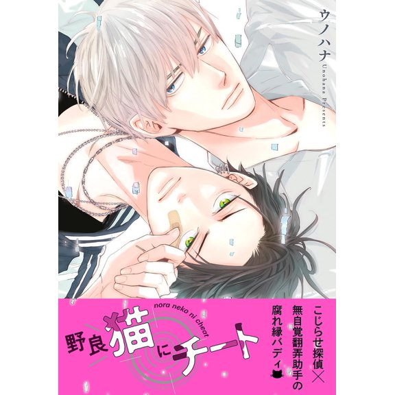Unohana Cheat On Stray Cats 1 (Paperback)