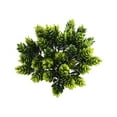 thumbnail image 1 of Unpotted Fake Succulents Assorted Faux Succulent in Different Green Artificial Hanging Succulents Textured Faux Succulent Pick Hanging String of Pearls Plant, 1 of 7