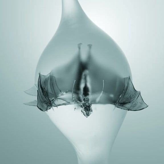 Unprocessed - Angel - Music & Performance - CD