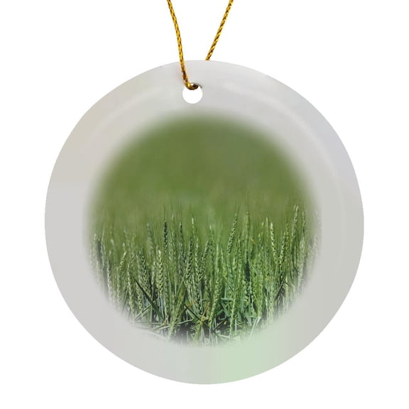 3drose, Unripe Wheat Field Agriculture, Pendleton Oregon - Us38 Dfr0085 - David R. Frazier, Circle Porcelain Ornament