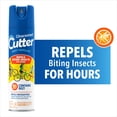 thumbnail image 1 of Unscented Cutter Insect and Mosquito Repellent, Bug Spray with 10% DEET, 11 Oz, 1 of 14