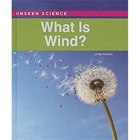Pre-Owned What Is Wind? (Library Binding) 9781502609243