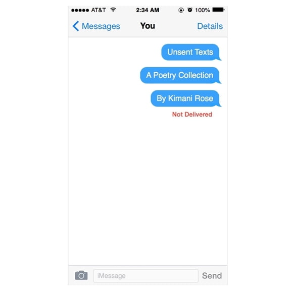 Unsent Texts (Paperback)