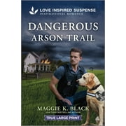 Unsolved Case Files Dangerous Arson Trail, Book 3, Paperback