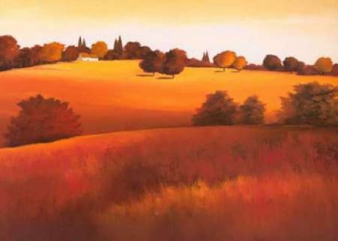Untainted I Canvas Art - Hans Paus (20 x 28)