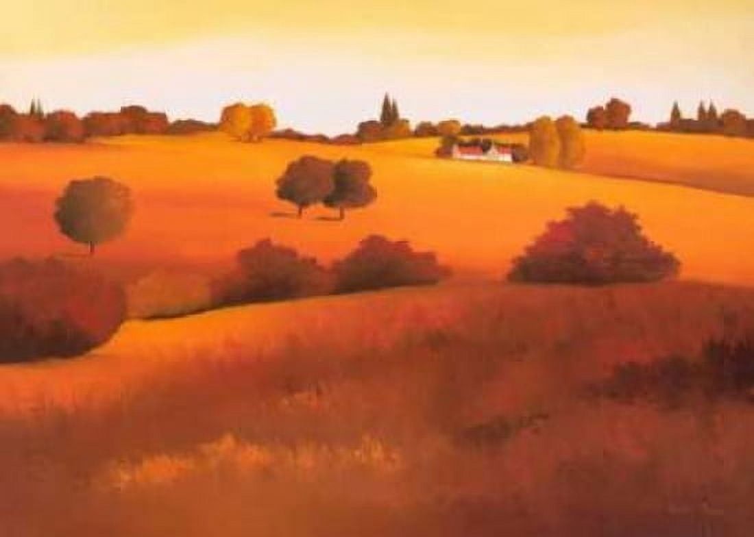 Untainted II Canvas Art - Hans Paus (20 x 28)