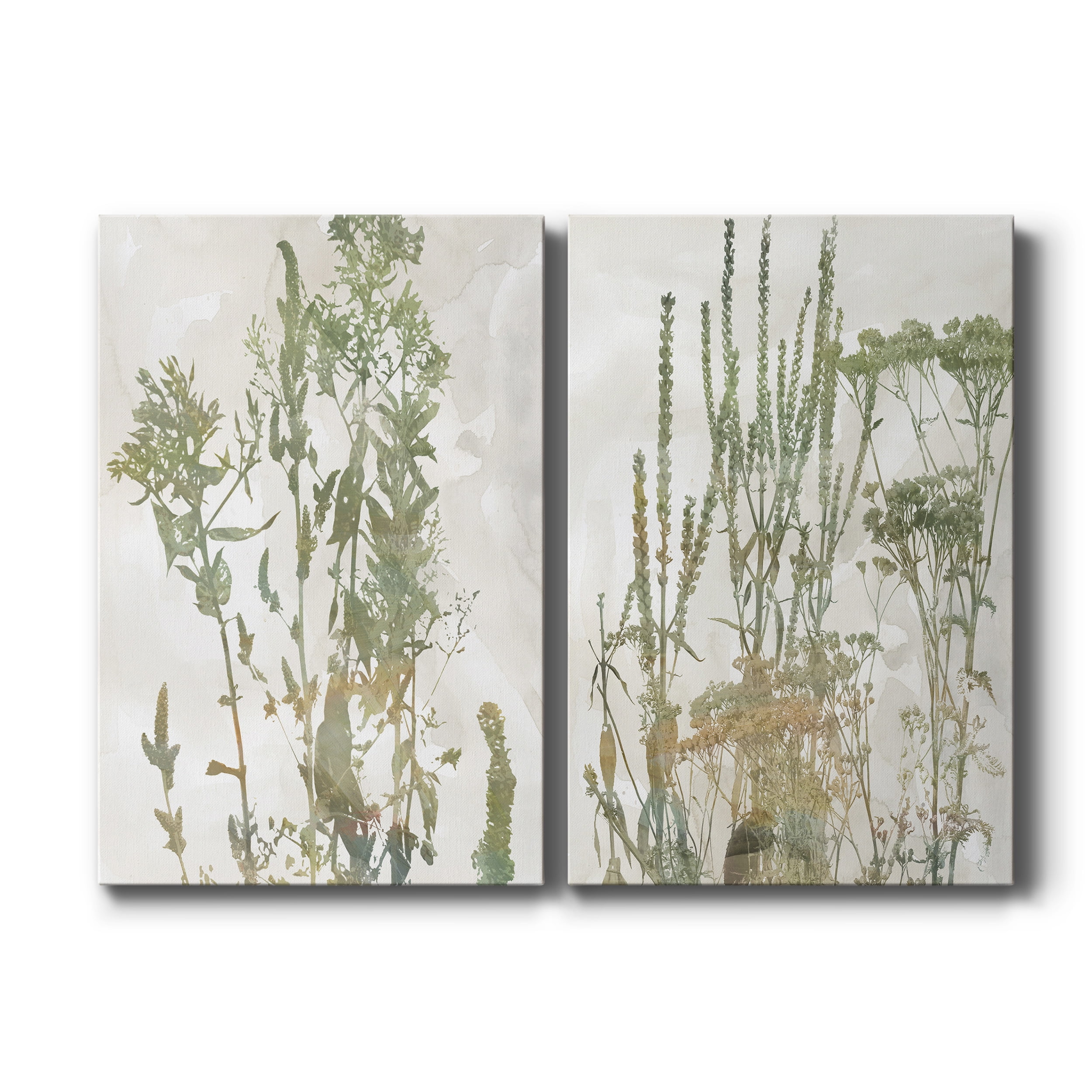 Untamed Garden I Premium Gallery Wrapped Canvas - Ready to Hang - Set of 2 - 12 x 18 Each