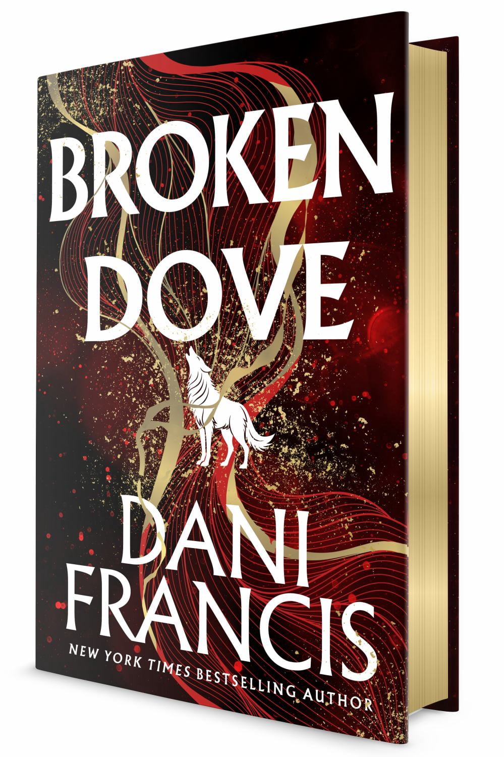 Broken Dove (Hardcover)