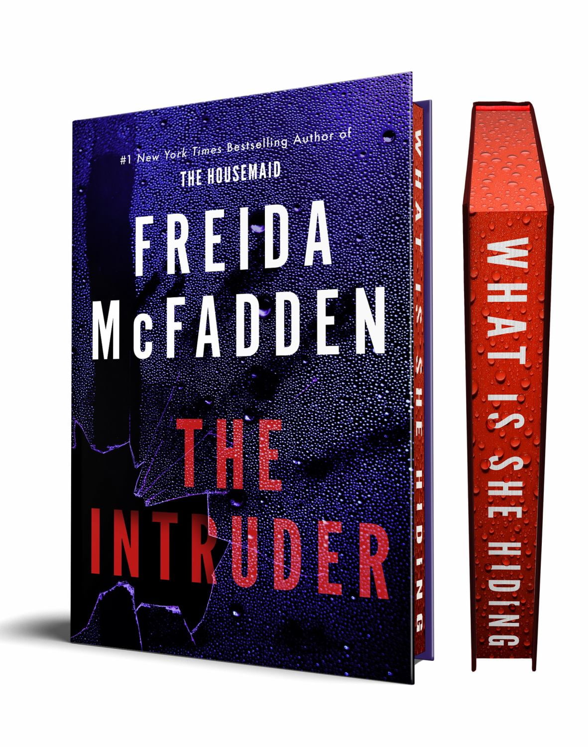 The Intruder (Hardcover)