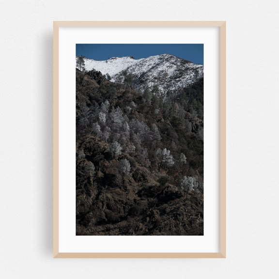 Untitled - Los Angeles California Photography Mountain Snow Nature Landscape Winter Forest Wilderness Oak Framed Wall Art Print 5 x 7 inches