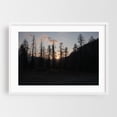 thumbnail image 1 of Untitled - Los Angeles California Photography Sunset Forest Nature Silhouette Woods Landscape Scenic White Framed Wall Art Print 20 x 30 inches, 1 of 3