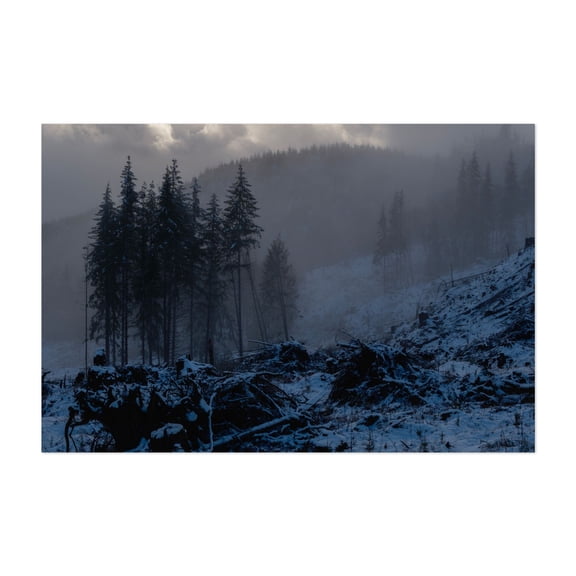 Untitled - Los Angeles Oregon Photography Foggy Winter Snow Forest Nature Landscape Wilderness Unframed Wall Art Print 4 x 6 inches