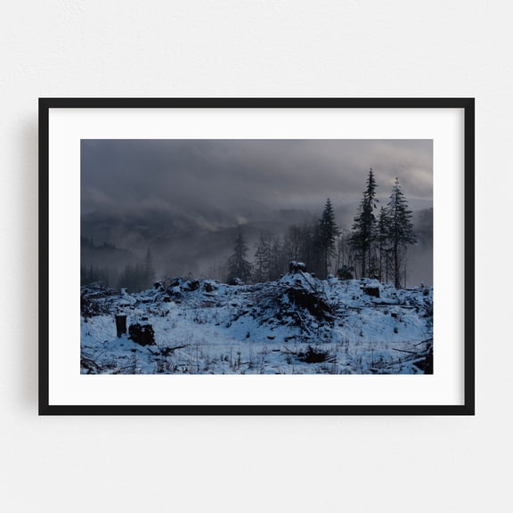 Untitled - Los Angeles Oregon Photography Snow Winter Foggy Forest Wilderness Moody Landscape Black Framed Wall Art Print 5 x 7 inches