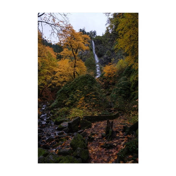 Untitled - Los Angeles Oregon Photography Waterfall Autumn Nature Forest Landscape Scenic Woods Unframed Wall Art Print 5 x 7 inches