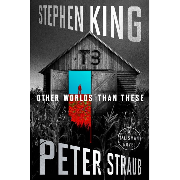 Other Worlds Than These: A Talisman Novel (Hardcover)