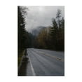thumbnail image 1 of Untitled - Oregon Photography Foggy Nature Forest Scenic Moody Wilderness Unframed Wall Art Print 20 x 30 inches, 1 of 60