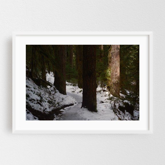 Untitled - Oregon Photography Forest Snow Nature Woodland Winter Woods Scenic White Framed Wall Art Print 24 x 36 inches