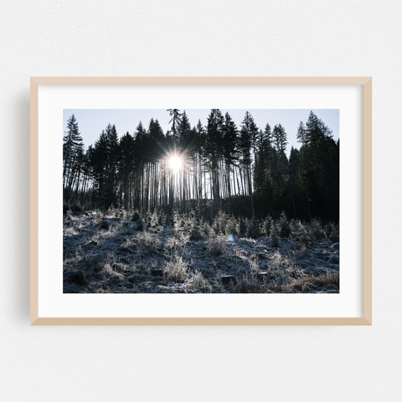 Untitled - Oregon Photography Forest Winter Snow Nature Scenic Woodland Landscape Oak Framed Wall Art Print 5 x 7 inches