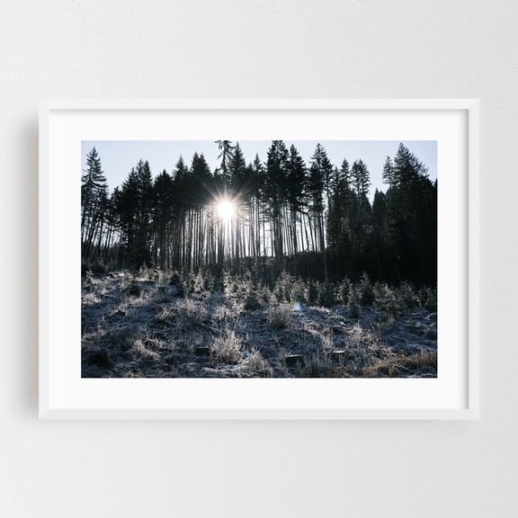 Untitled - Oregon Photography Forest Winter Snow Nature Scenic Woodland Landscape White Framed Wall Art Print 5 x 7 inches