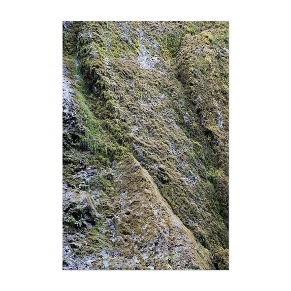 Untitled - Oregon Photography Nature Mountain Waterfall Scenic Landscape Wilderness Forest Unframed Wall Art Print 32 x 48 inches