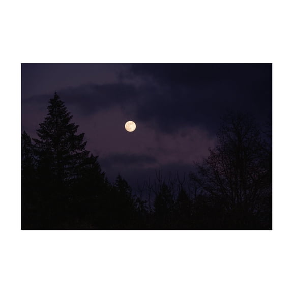 Untitled - Oregon Photography Night Sky Moon Silhouette Forest Nature Mystical Scenic Unframed Wall Art Print 4 x 6 inches
