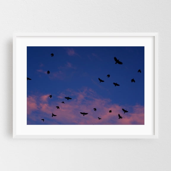 Untitled - Portland Oregon Photography Bird Silhouette Sunset Nature Night Sky Mystical Scenic White Framed Wall Art Print 24 x 36 inches
