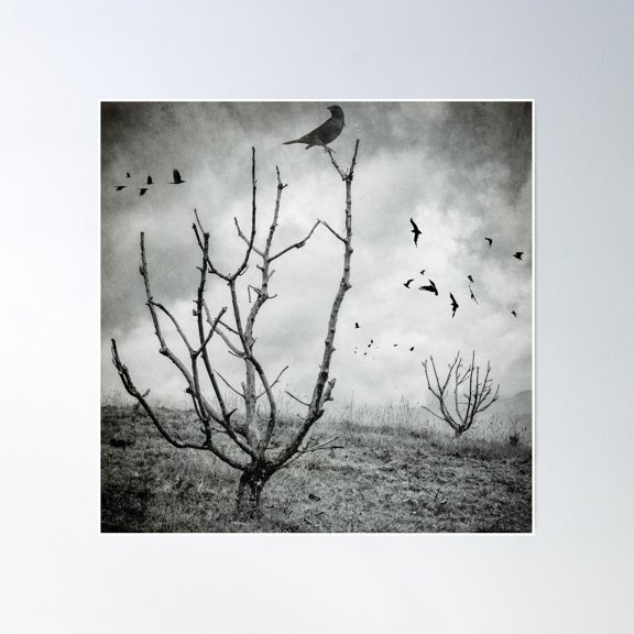 Untitled Poster Wall Art, Modern Wall Decor, 24x24 UNFRAMED