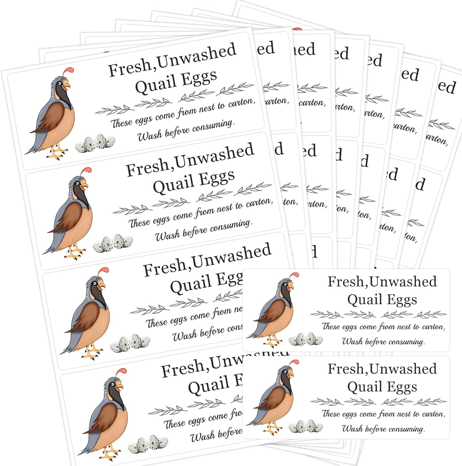 Unwashed Quail Egg Carton Stickers 1x2.5inch Farm Fresh Quail Eggs
