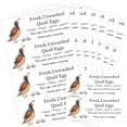 thumbnail image 1 of Unwashed Quail Egg Carton Stickers 1x2.5inch Farm Fresh Quail Eggs Carton Labels 120pcs, 1 of 6