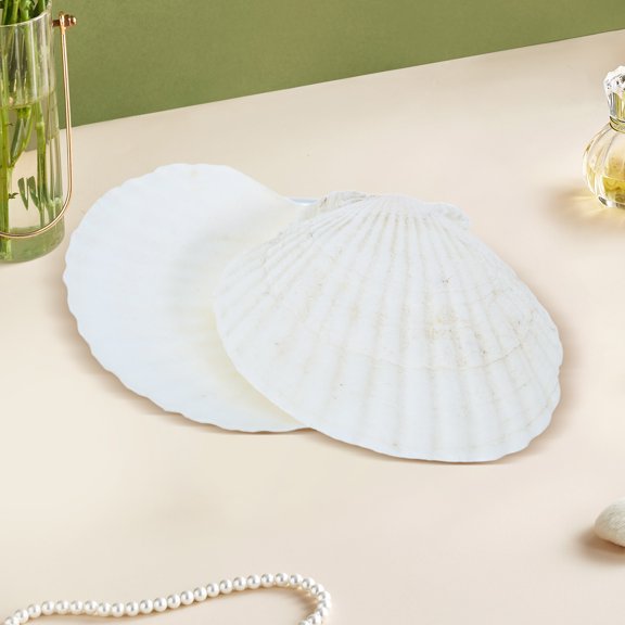 Uonlytech 12Pcs Natural Shells for Crafting White Large Scallop Shells for Baking Grilling and Serving