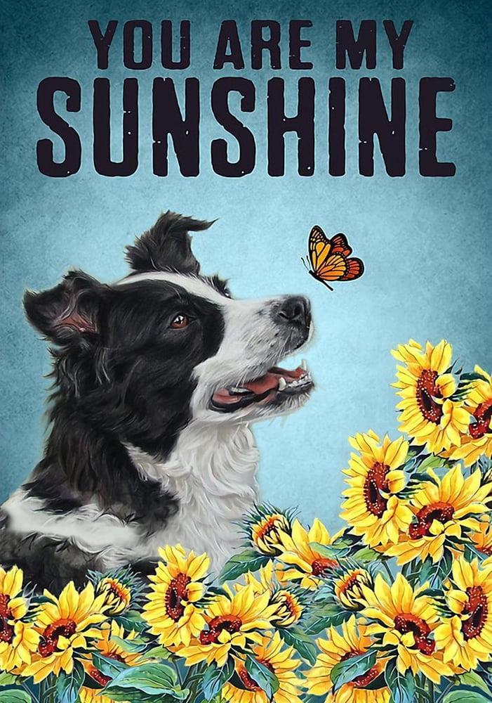 Uoyeqt Puzzles for Adult 1000 Piece Jigsaw Puzzle Border Collie