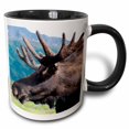 thumbnail image 1 of 3drose, Up Close and Personal with a Moose, Alaska Wildlife Center, Alaska, 15oz Two-tone Black Mug, 1 of 6