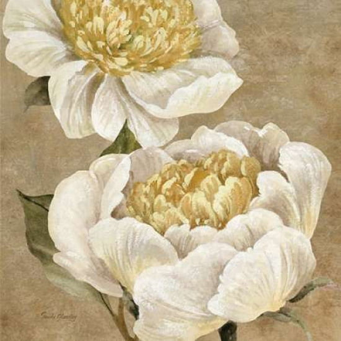 Up Close Cream Peony Canvas Art - Pamela Gladding (24 x 24)