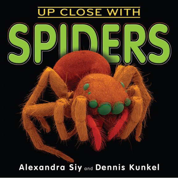 Up Close With Spiders (Paperback)