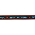 thumbnail image 1 of Up Country BDEDH4W Best Dog Ever Pet Harness - Large, 1 of 1