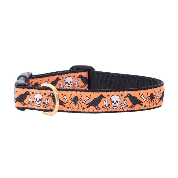 Up Country Nevermore Pattern Dog Collar (Small (9 to 15 Inches) 1 Inch Wide Width)