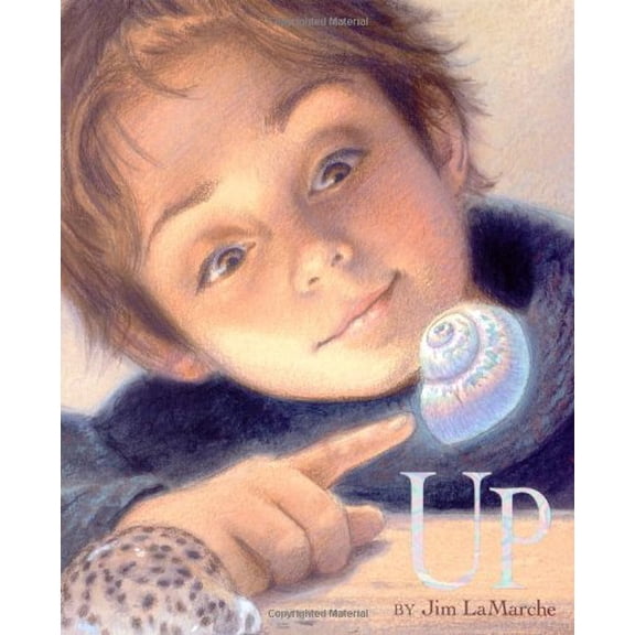 Pre-Owned Up (Hardcover)