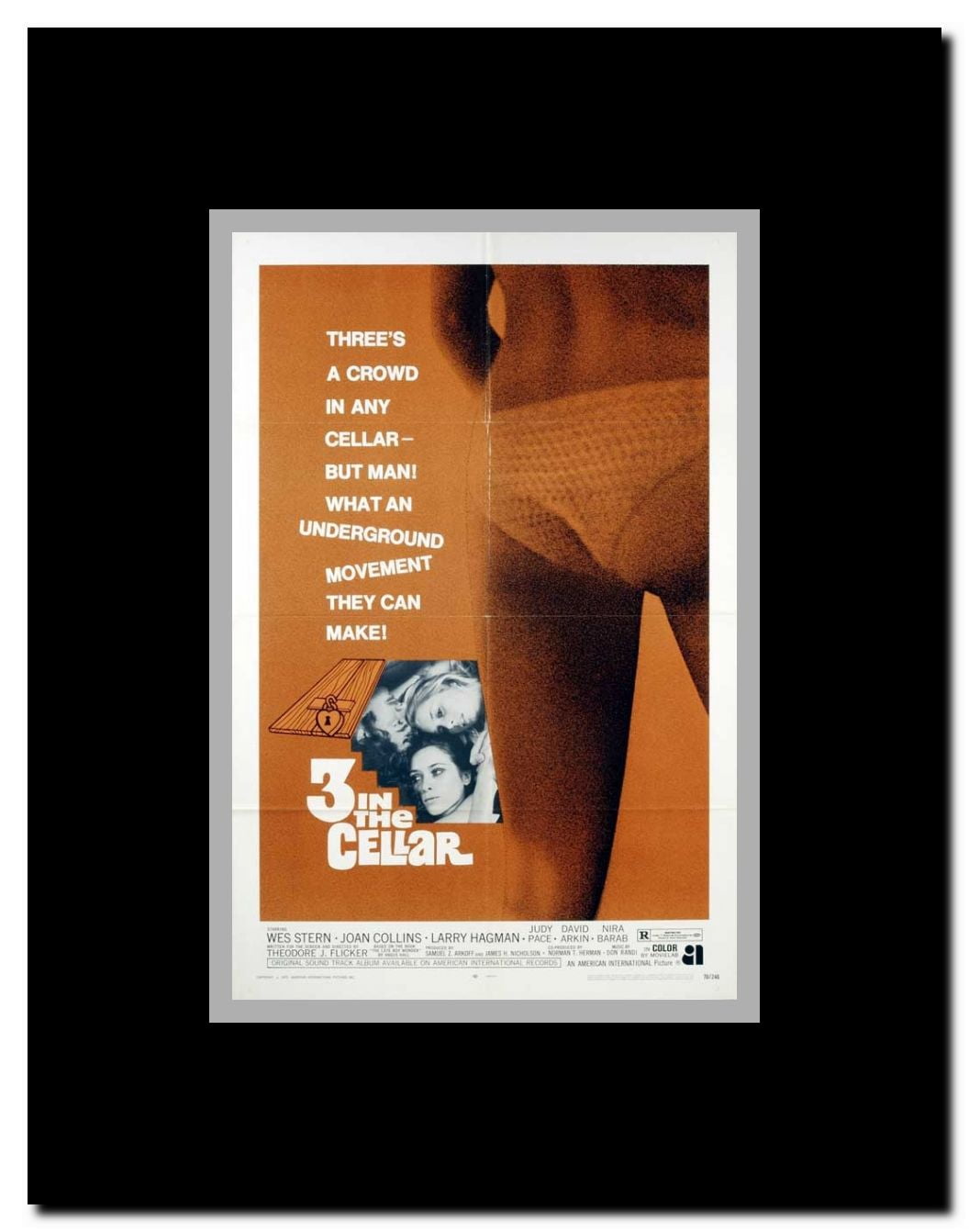 Up In the Cellar Framed Movie Poster