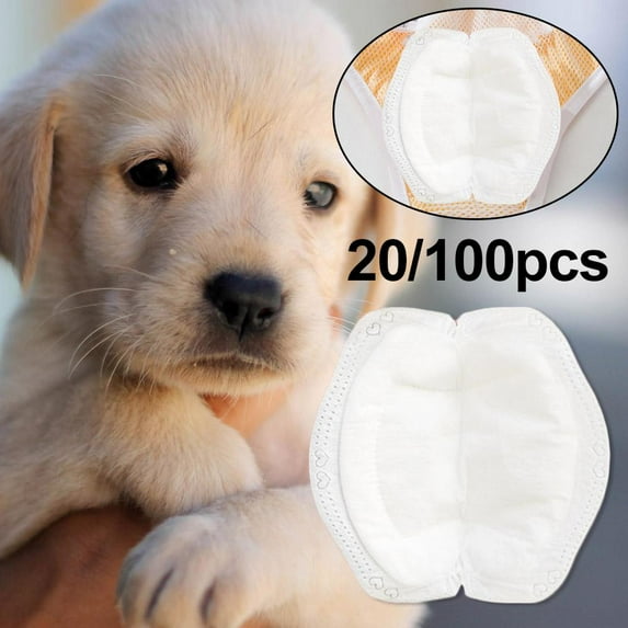 Up to 60% off! PawCasa ysiological Pads For Dogs Puppy Diaper Pants Female ysiological Nappy