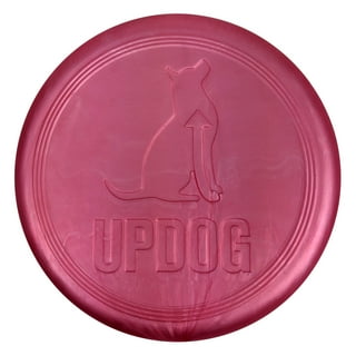 Walmart dog frisbee 2025