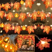 Upgradded Thanksgiving Pumpkin Lights Maple Fall String Lights, Waterproof Battery Operated Holiday Decor 20 ft 40 LED /15 ft 30 LED/ 10 ft 20 LED/ 5 ft/10 LED