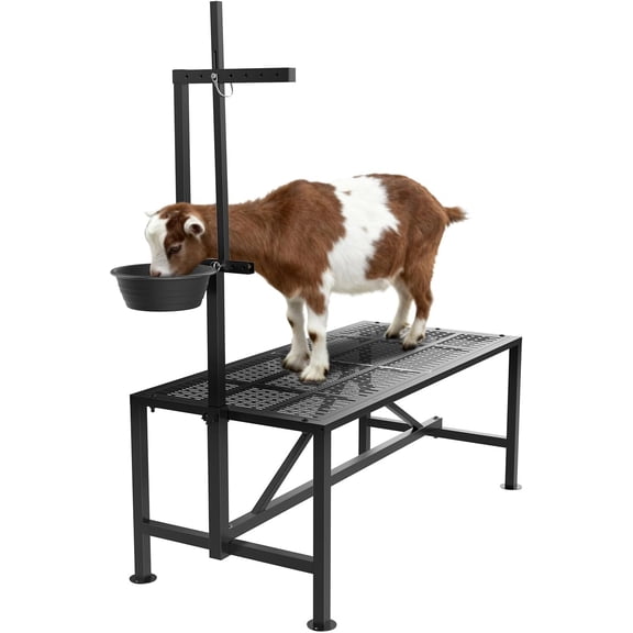 Upgrade Goat Milk Stand with Feed Bin, 400lbs Goat Stand for Grooming & Hoof Trimming, 1mm Thick Platform & Anti-Slip Design, for Pygmy and Dwarf Goats, Firm Head Lock and Adjustable Head