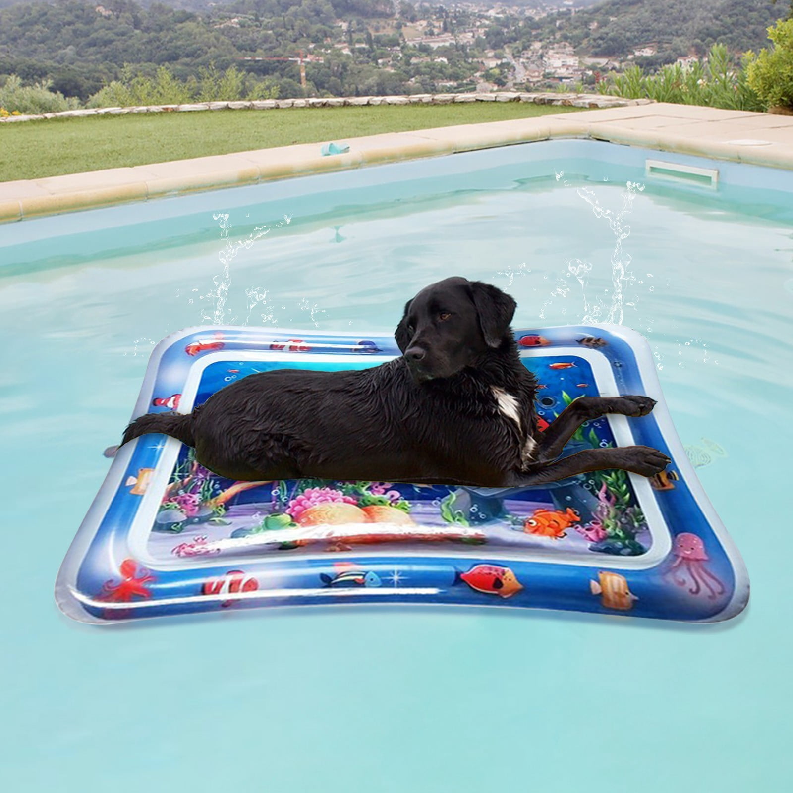 2-Pack Thickened Water Sensor Play Mat For Cats & Dogs - Dolphin Design, Cooling/Warming Pet Activity Mat