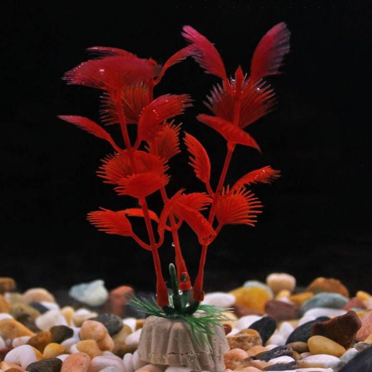 Ultimate Substrate Guide: Transform Your Aquascape with the Best Choices