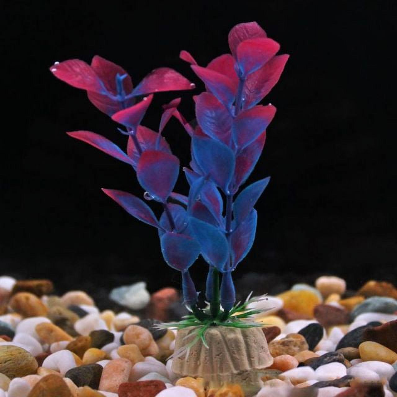 10 Breathtaking Aquascape Plants to Transform Your Underwater Paradise