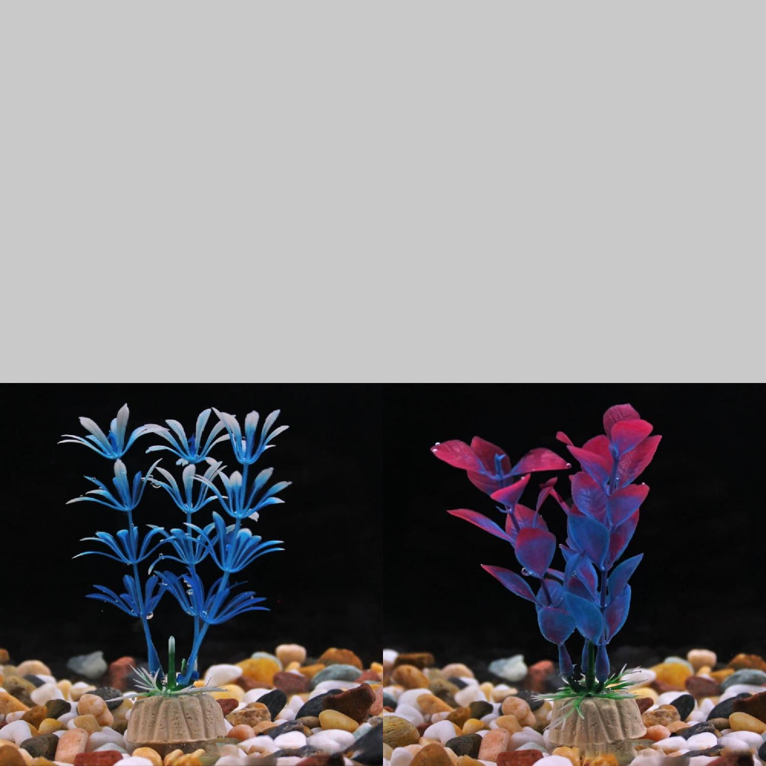 10 Breathtaking Aquascape Plants To Transform Your Underwater Paradise