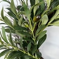thumbnail image 1 of Upgraded Artificial Wreath Wall Wreath For Living Room Wall Front Door Decoration Olive Wreath Realistic Greenery For Year Round Home Decor Classic R, 1 of 4